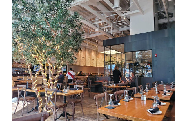 AMKO M7532 x back Commercial Grade Restaurant Chair