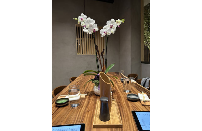 AMKO T19 Plank South American Walnut Live Edge Restaurant Table Top