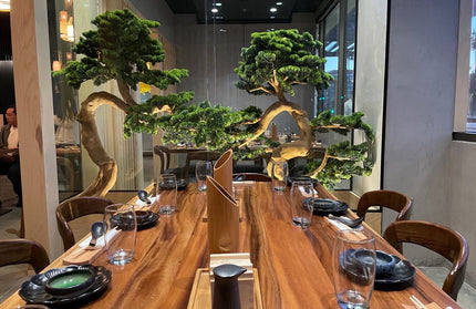 AMKO T19 Plank South American Walnut Live Edge Restaurant Table Top