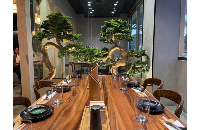 AMKO T19 Plank South American Walnut Live Edge Restaurant Table Top