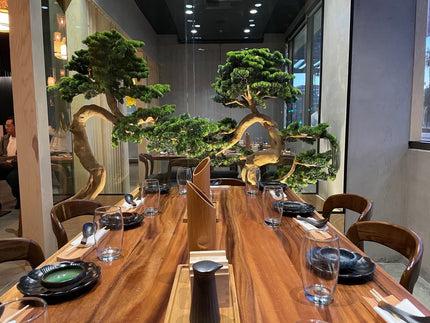 AMKO T19 Plank South American Walnut Live Edge Restaurant Table Top