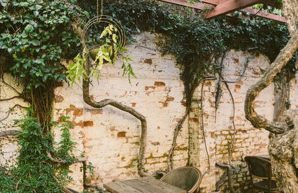 AMKO 606AC-2 Aluminum Commercial Grade Restaurant Chair