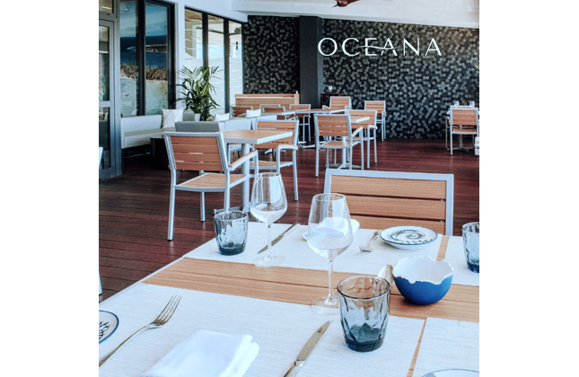 AMKO 543AG Teak Aluminum Commercial Grade Restaurant Chair