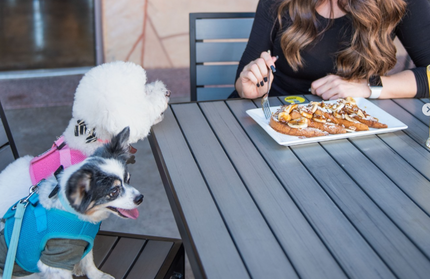 AMKO T66B Gray Restaurant Patio Table Top