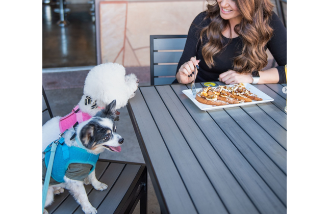 AMKO T66B Gray Restaurant Patio Table Top