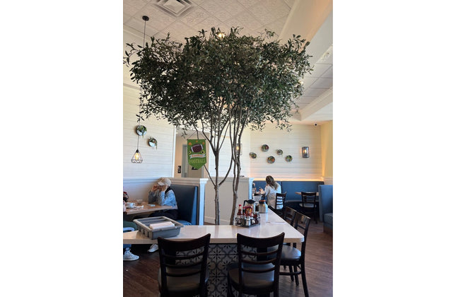 AMKO 454P Commercial Grade Restaurant Wood Chair