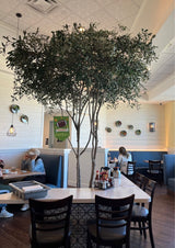 AMKO 454P Commercial Grade Restaurant Wood Chair