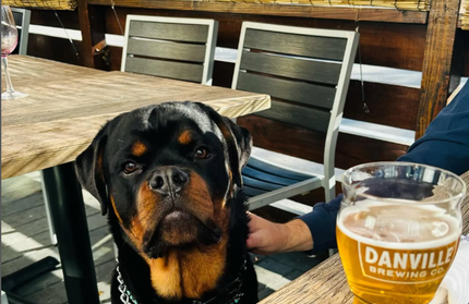 AMKO 528SB Silver Black Aluminum Commercial Grade Restaurant Chair