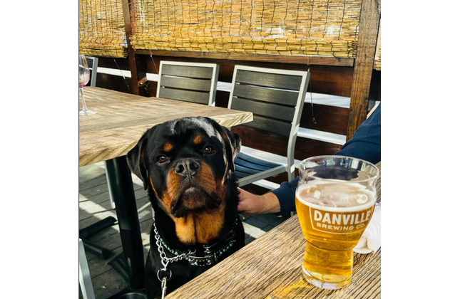 AMKO 528SB Silver Black Aluminum Commercial Grade Restaurant Chair