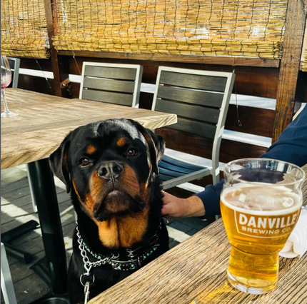 AMKO 528SB Silver Black Aluminum Commercial Grade Restaurant Chair