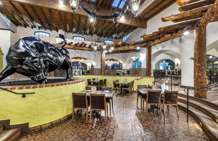 AMKO M955 Walnut Brown Commercial Grade Restaurant Chair