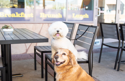 AMKO 538SB Black Gray Aluminum Commercial Grade Restaurant Chair