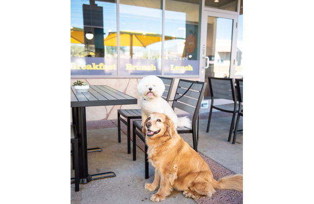 AMKO 538SB Black Gray Aluminum Commercial Grade Restaurant Chair