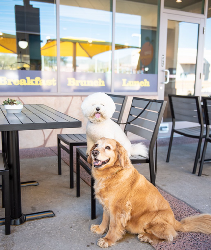 AMKO 538SB Black Gray Aluminum Commercial Grade Restaurant Chair